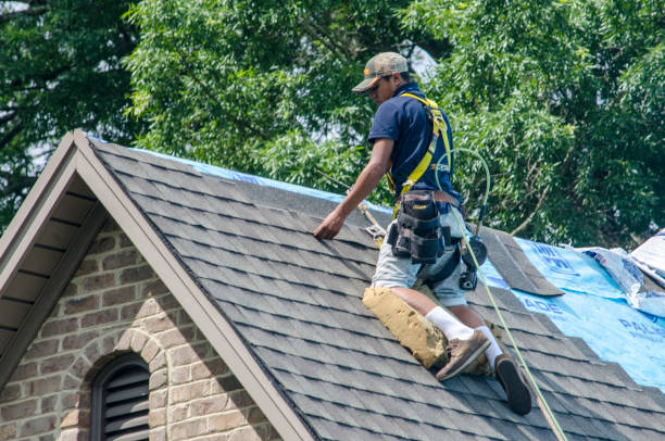 Best Gutter Installation and Roofing  in Berwyn Heights, MD